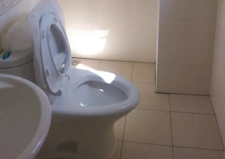 師傅到府進行馬桶安裝作業